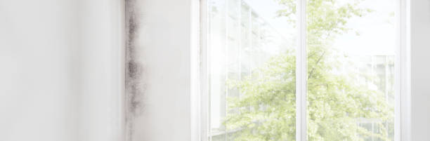 Best Mold Remediation for Healthcare Facilities  in Cleveland, OK